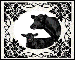 Angus Duo Placemat