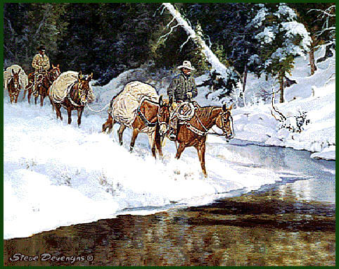 Winters Glory Tapestry Placemat