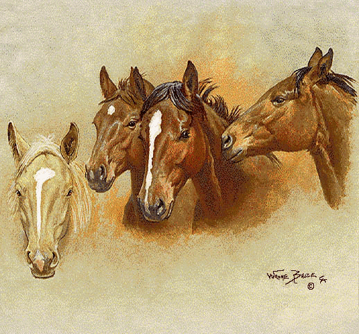 Horse Whispering Placemat