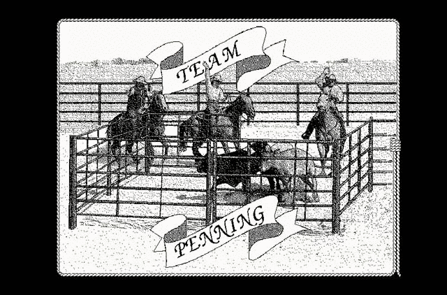 Team Penning Afghan