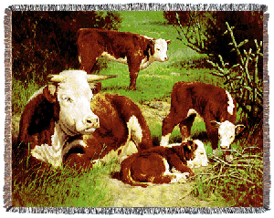 Range Nursery Western Tapestry Afghan ** ***