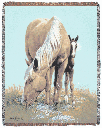 On The Shy Side Western Tapestry Afghan