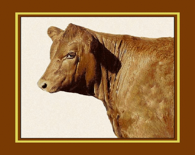 Red Angus Tapestry Afghan
