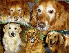 Golden Retriever Placemat