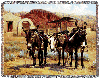 Border Burros Western Tapestry Afghan