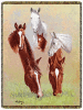 Horse Heads Tapestry Afghan