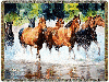 Horse Play Tapestry Afghan