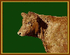 Red Angus GreenTapestry Afghan **